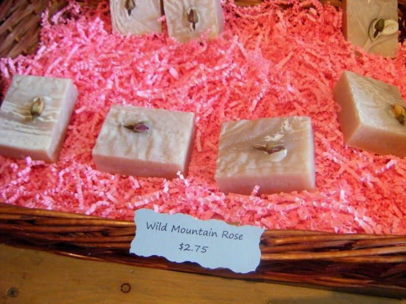 kaltsa-sto-plintirio-me-filla-kissou6_