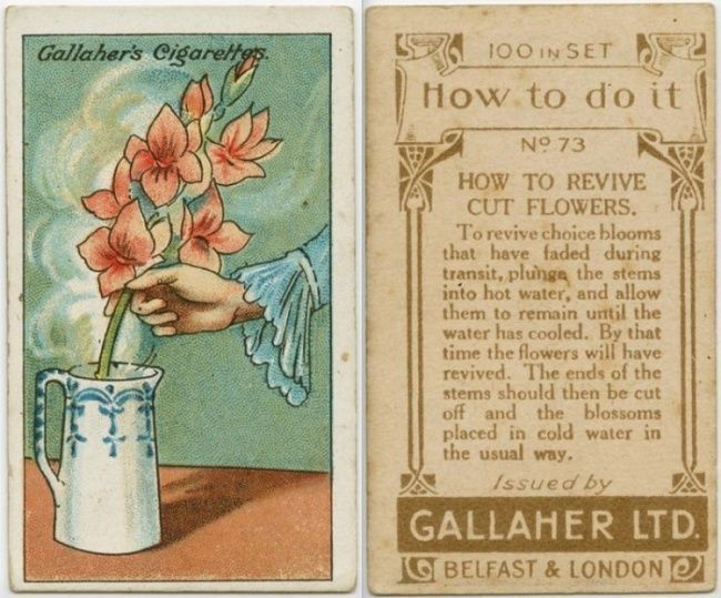 kolpa-archea-pou-ine-chrisima-ke-simera1_