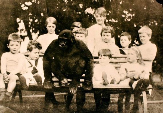 Jonh Daniel: Ο γορίλας που είχε εκπαιδευτεί σαν αγόρι από ένα ολόκληρο Αγγλικό  χωριό και πέθανε από στεναχώρια όταν τον πήραν μακριά