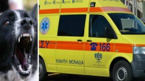 Σοκ Σκύλος κατακρεούργησε 30χρονο ! Πάγωσαν οι γιατροί με τα τραύματα του