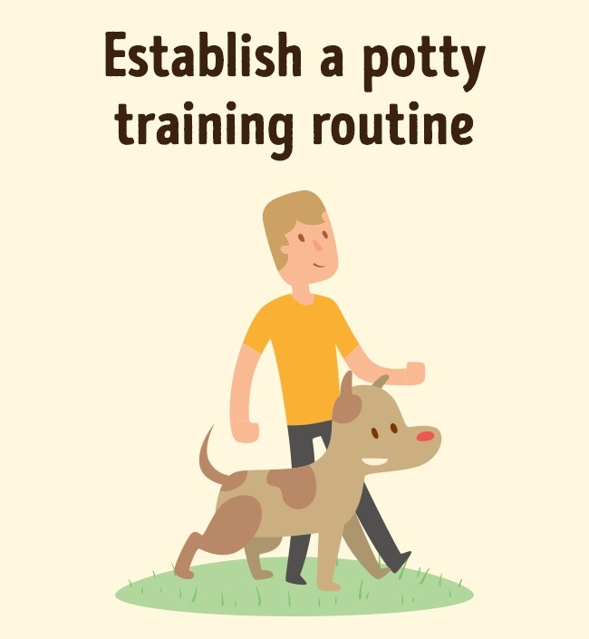 Εκπαιδεύστε το σκύλο σας σαν επαγγελματίες