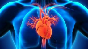 Ποια είναι η πρόληψη και η εναλλακτική αντιμετώπιση για τα καρδιαγγειακά νοσήματα;