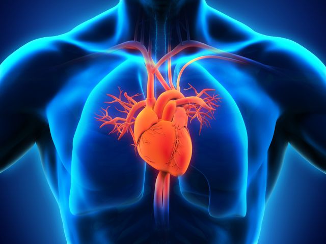 Ποια είναι η πρόληψη και η εναλλακτική αντιμετώπιση για τα καρδιαγγειακά νοσήματα;