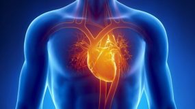 Προσοχή: Ποια τα δέκα σημάδια που δείχνουν ότι η καρδιά δεν λειτουργεί σωστά