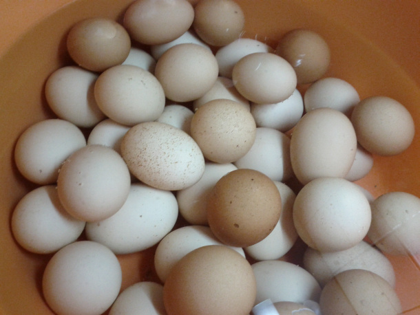 Διακόσμηση αυγών με κλωστές φλος