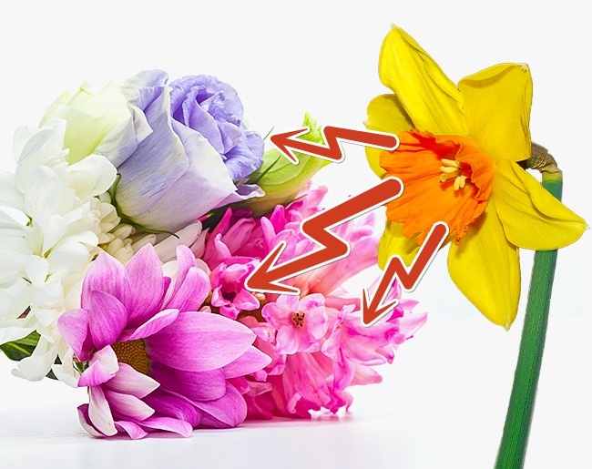 10 απλοί τρόποι για να κρατήσετε τα κομμένα σας λουλούδια φρέσκα για περισσότερο