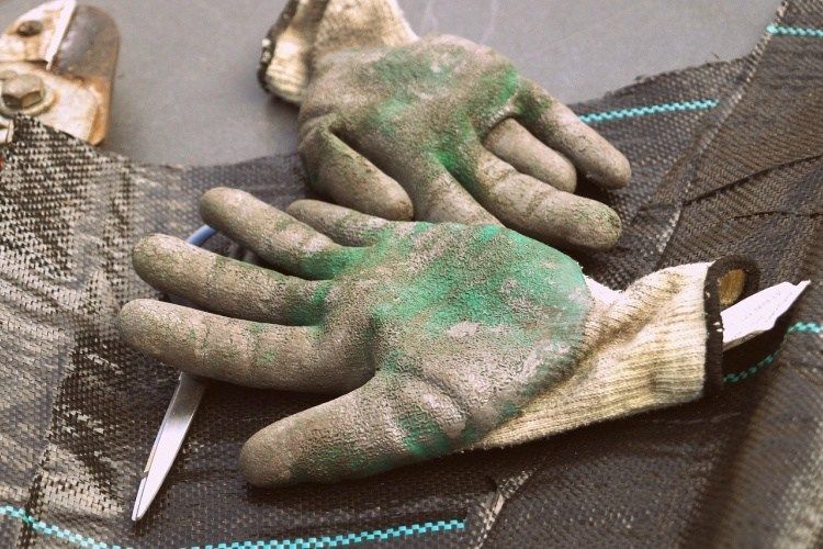 9 πανέξυπνοι τρόποι για να χρησιμοποιήσετε το ταλκ στον κήπο σας 3 πουδρα μωρου στο κηπο2