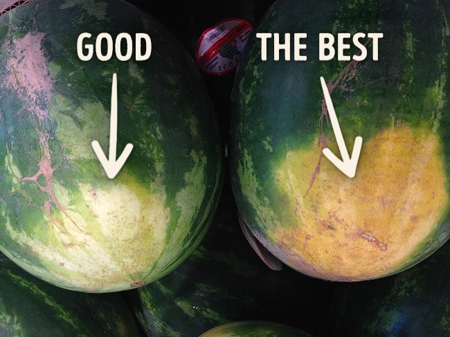 Αυτά είναι τα 5 μυστικά για να διαλέγετε πάντα το καλό καρπούζι! (εικόνες)