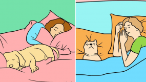 Αυτά είναι τα πραγματικά οφέλη όταν αφήνετε τον σκύλο σας να κοιμάται μαζί σας