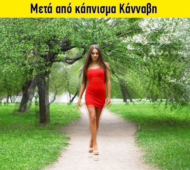 15 διαφορετικες φυσικες καταστασεις12