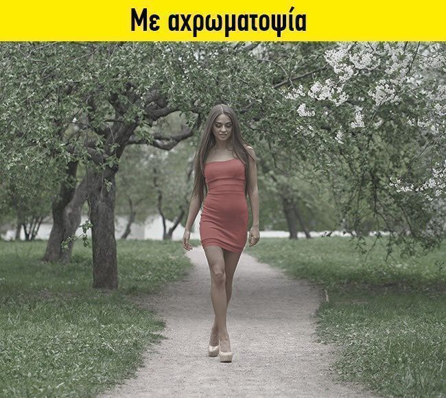 15 διαφορετικες φυσικες καταστασεις7