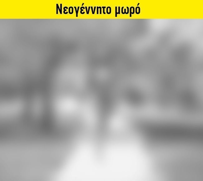 15 διαφορετικες φυσικες καταστασεις8