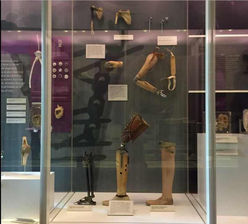 Τα εκθέματα αυτού του μουσείου θα σας κάνουν να τα χάσετε 4 εκθεματα αυτου του μουσειου3