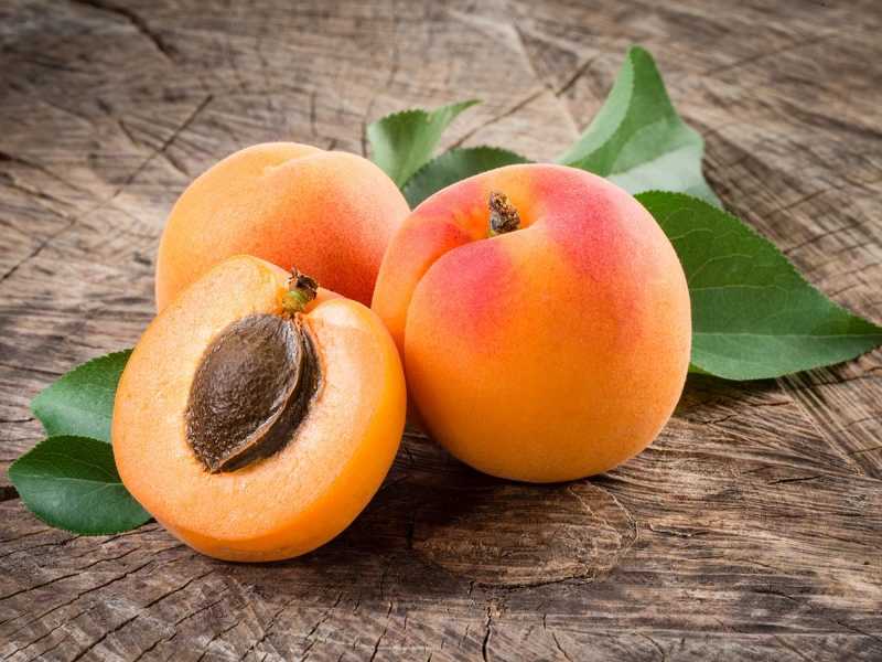 παιρνει μια πατατα1