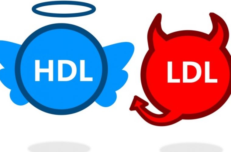 Καλή χοληστερίνη (HDL): Πώς αυξάνεται – Όρια για άντρες και γυναίκες