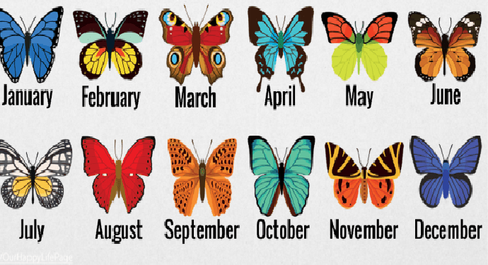 Διαλέξτε μια πεταλούδα ανάλογα το μήνα που γεννηθήκατε και δείτε τι έχει να πει για εσάς..