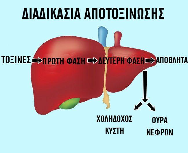6 τρόποι με τους οποίους το συκώτι σας λέει ότι δεν αντέχει άλλο τον τρόπο ζωής σας 6 συκωτι4