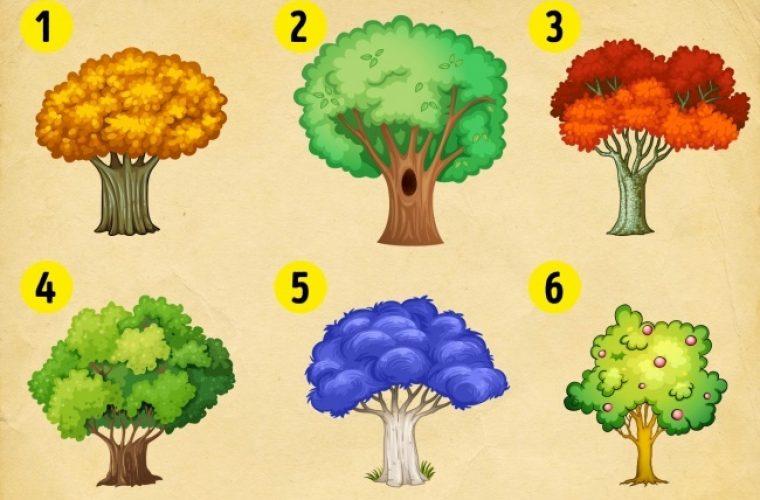 Τεστ: Διαλέξτε ένα δέντρο και ανακαλύψτε τι σας περιμένει το 2020!