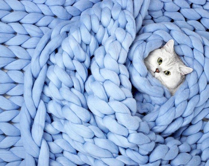 DIY: Φτιάξτε Εύκολα Αυτή Την Άνετη Και Ζεστή Κουβέρτα Σε Μόλις 4 Ώρες -ΒΙΝΤΕΟ