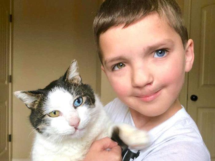 Αυτό το 7χρονο αγοράκι δεχόταν bullying για την εμφάνισή του μέχρι που βρήκε ένα γάτο ίδιο με αυτόν 2 7 χρονος δεχοταν bullying1
