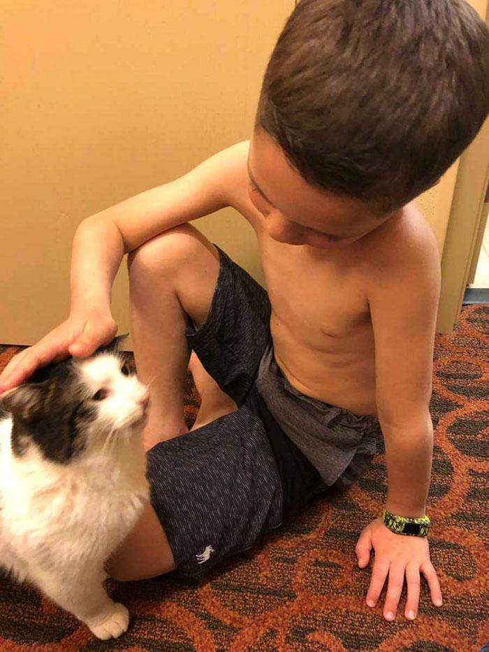 Αυτό το 7χρονο αγοράκι δεχόταν bullying για την εμφάνισή του μέχρι που βρήκε ένα γάτο ίδιο με αυτόν