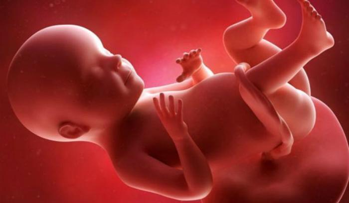 Τα έμβρυα ακούν και διακρίνουν τη γυναικεία-μητρική και την ανδρική-πατρική φωνή