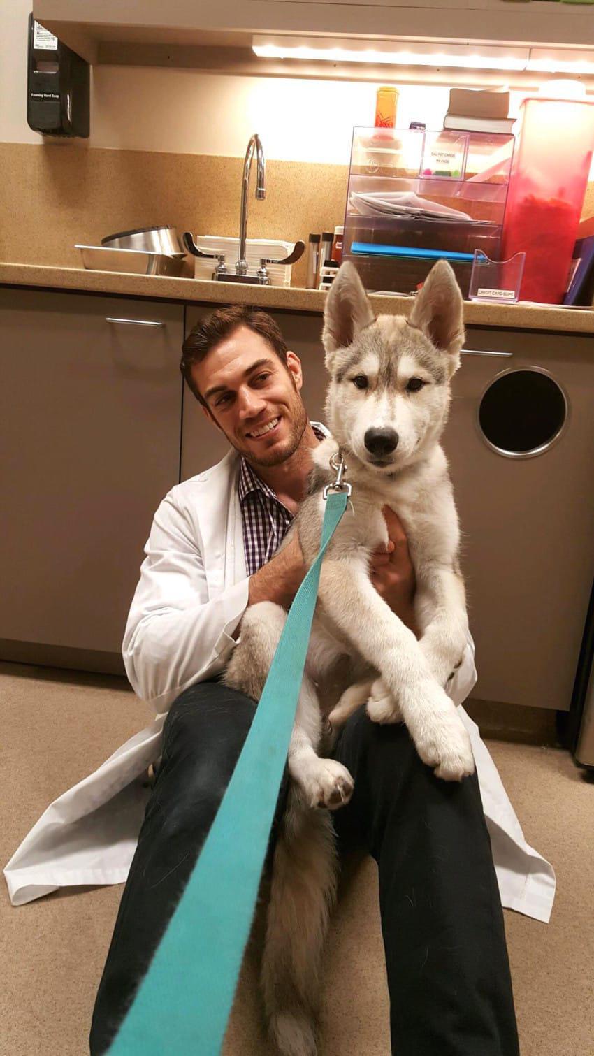 Αυτός ο κτηνίατρος είναι τόσο κούκλος που θα σας κάνει να πάτε τα ζωάκια σας κατευθείαν για εξέταση