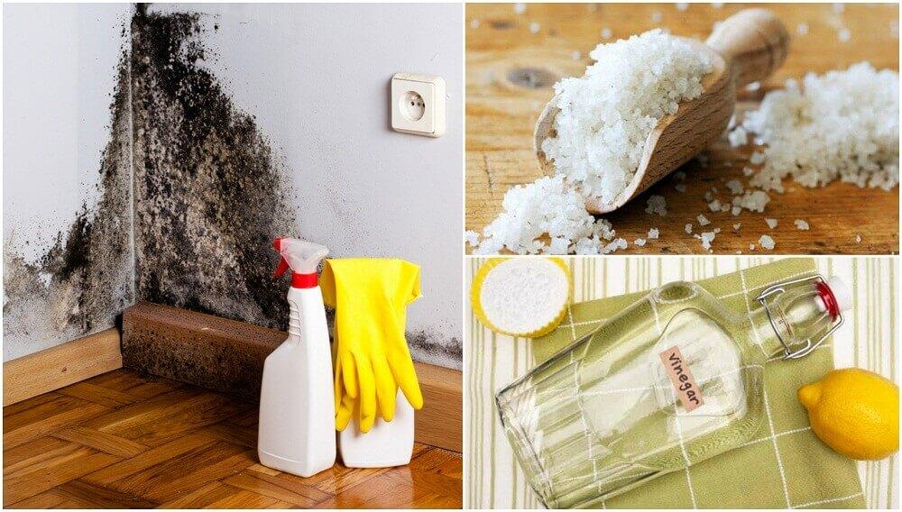 Εξαφανίστε την υγρασία από το σπίτι σας με αυτούς τους 5 αποτελεσματικούς τρόπους!