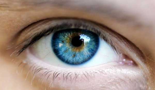 Θα πάθετε πλάκα:Όλοι οι άνθρωποι με μπλε μάτια έχουν τον ίδιο πρόγονο. Δείτε ποιον