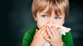 Αλλεργική ρινίτιδα: Τα συχνότερα αίτια της No1 αλλεργίας της άνοιξης.