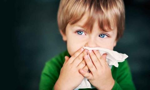 Φθινοπωρινές αλλεργίες: Τι τις προκαλεί ποια είναι τα συμπτώματα και πως να τις αντιμετωπίσουμε