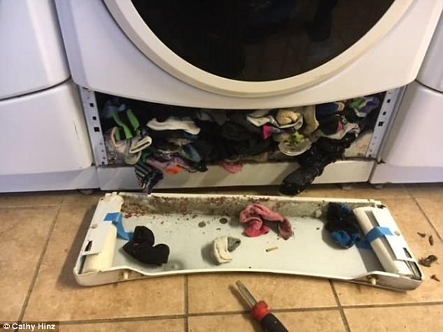 Αυτές οι φωτογραφίες δείχνουν πως το πλυντήριο ρούχων τρώει τις κάλτσες μας