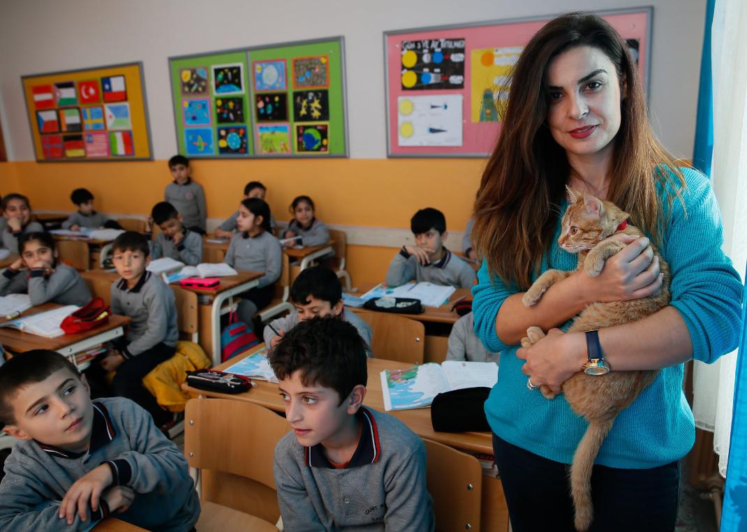 γατος υιοθετηκε σχολειο2