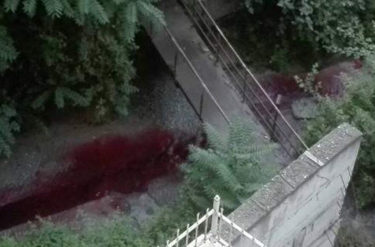 Ανεξήγητο φαινόμενο στη Θεσσαλονίκη -Ρέει κόκκινο ποτάμι και βάφει το μπετόν (εικόνες & βίντεο)