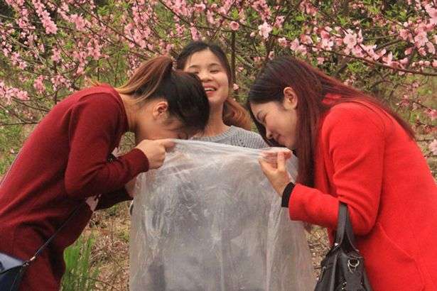 Κινέζοι πουλούν σακούλες με «καθαρό αέρα» του βουνού σε κατοίκους των αστικών κέντρων και σε άλλους επισκέπτες και θησαυρίζουν