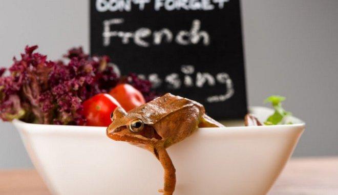 Βάτραχοι σε σαλάτες: Πώς μπαίνουν (και πώς επιβιώνουν)