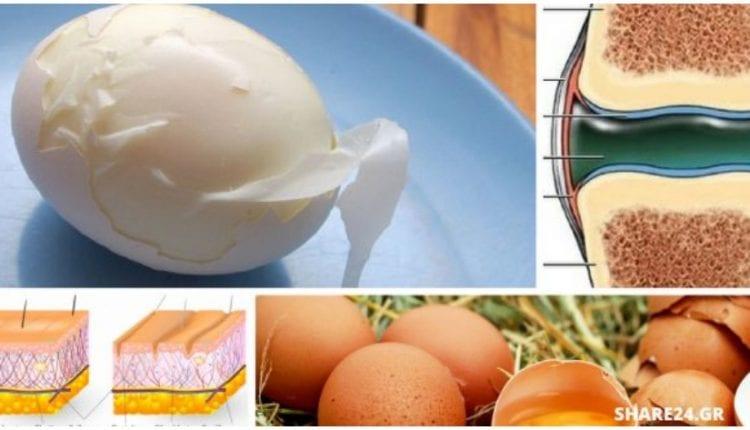 Τα Αυγά Αυξάνουν το Κολλαγόνο στον Οργανισμό χαρίζοντας Υγεία στο Δέρμα & τις Αρθρώσεις – Διαβάστε Πώς