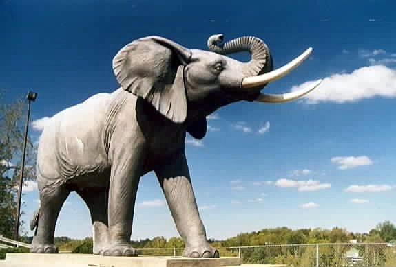 Η αληθινή ιστορία του πραγματικού Ντάμπο -Του κακοποιημένου, αλκοολικού ελέφαντα με το τραγικό τέλος [εικόνες]