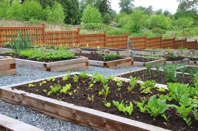 12 Υπέροχες ιδέες για να φτιάξετε τον κήπο των ονείρων σας.