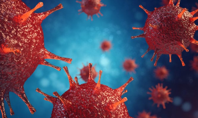 Γρίπη: Πώς ο ιός εισβάλλει στον οργανισμό! [vid]