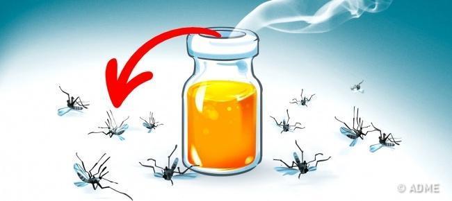 Πείτε τέλος στα κουνούπια με φυσικά αρώματα εύκολα και γρήγορα!