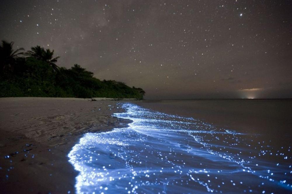 Μπλε κύματα στις παραλίες των Μαλδίβων