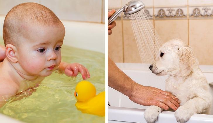 Ανακαίνιση σπιτιού: Τι να αποφύγεις όταν ανακαινίζεις το σπίτι σου.Ντουζιερα