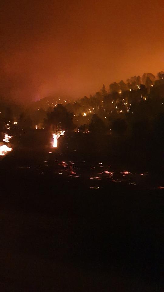 Μεγάλη φωτιά στην Εύβοια! Εικόνες από τη πυρκαγιά