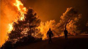 Φωτιά στην Εύβοια: Μεγάλη αγωνία για την κατεύθυνση της φωτιάς! Τι φοβούνται για τους ανέμους. Μάχη με τις φλόγες όλες οι δυνάμεις