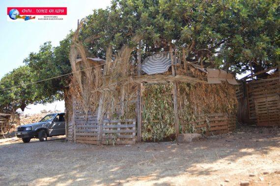 Κρήτη: Δεκαπενταριστές έφτασαν στην Παναγιά Χαρακιανή -Το έθιμο με τις αυτοσχέδιες καλύβες (εικόνες)