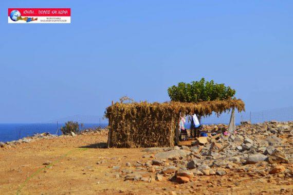 Κρήτη: Δεκαπενταριστές έφτασαν στην Παναγιά Χαρακιανή -Το έθιμο με τις αυτοσχέδιες καλύβες (εικόνες)