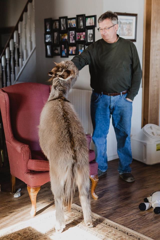 Τιμ: Ένας γάιδαρος πραγματικά αλλιώτικος από τους άλλους