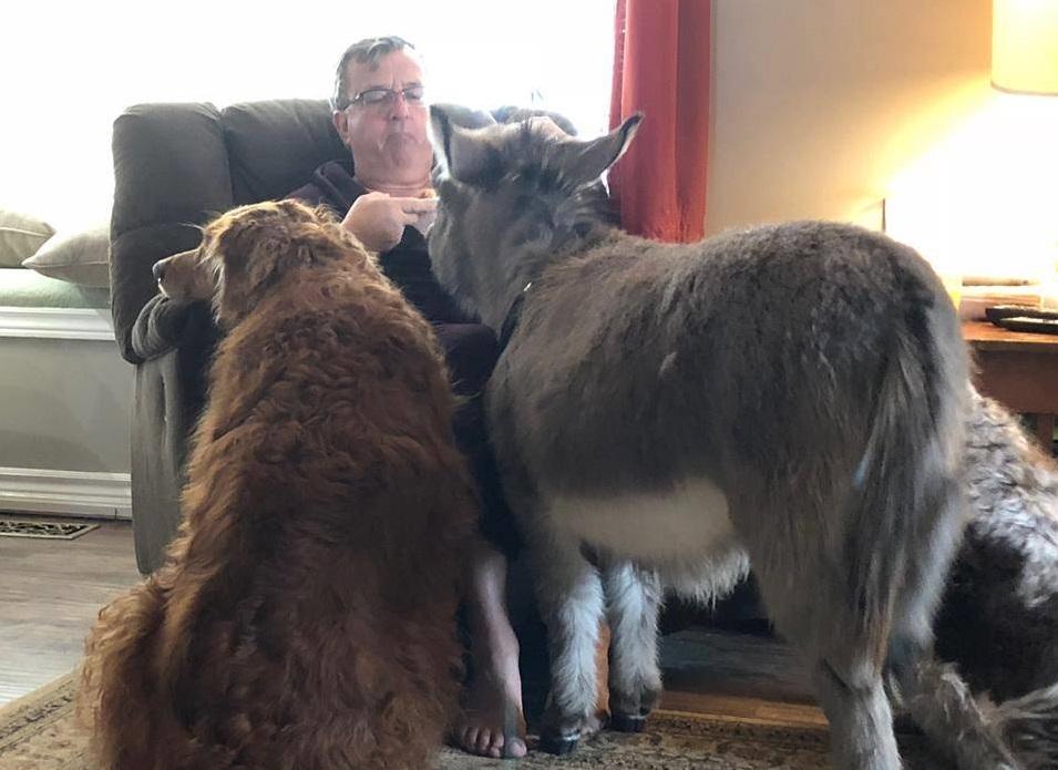 Τιμ: Ένας γάιδαρος πραγματικά αλλιώτικος από τους άλλους