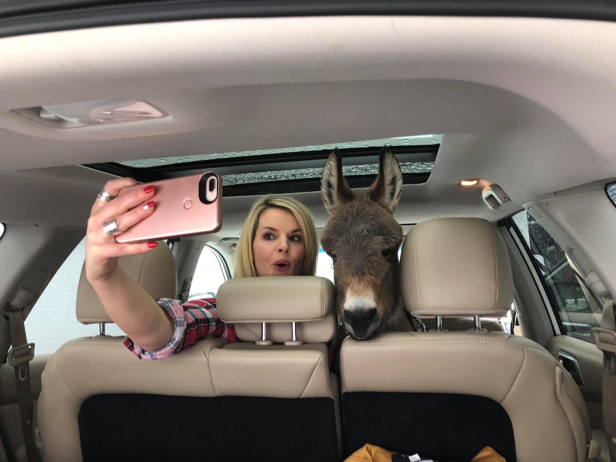 Τιμ: Ένας γάιδαρος πραγματικά αλλιώτικος από τους άλλους